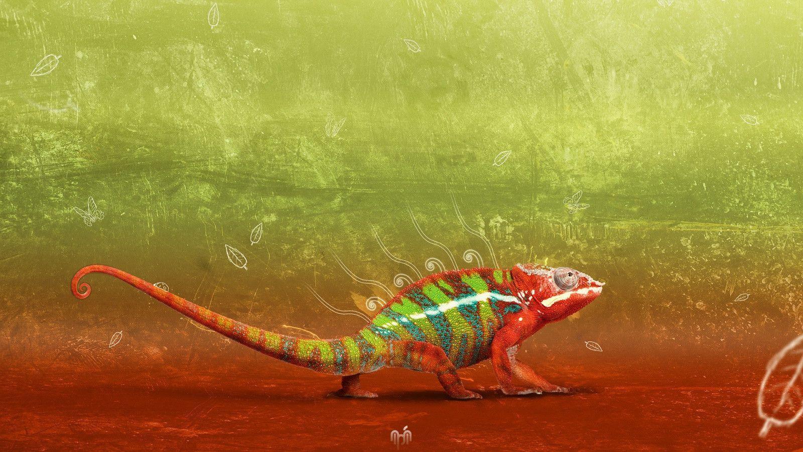 Cool Abstract Chameleon background in 1600x900 resolution. HD