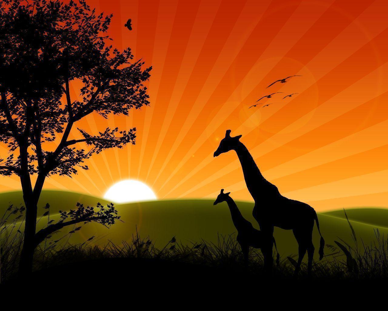 Sunrise Wallpaper Animated Image 6 HD Wallpaper. Eakai