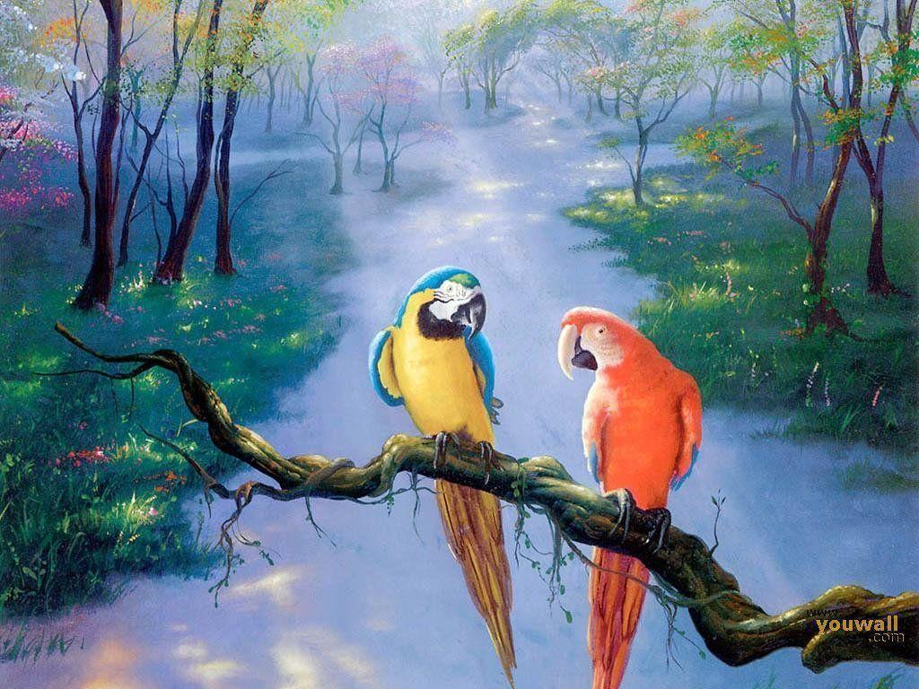 Parrot Wallpaper Cute and Docile