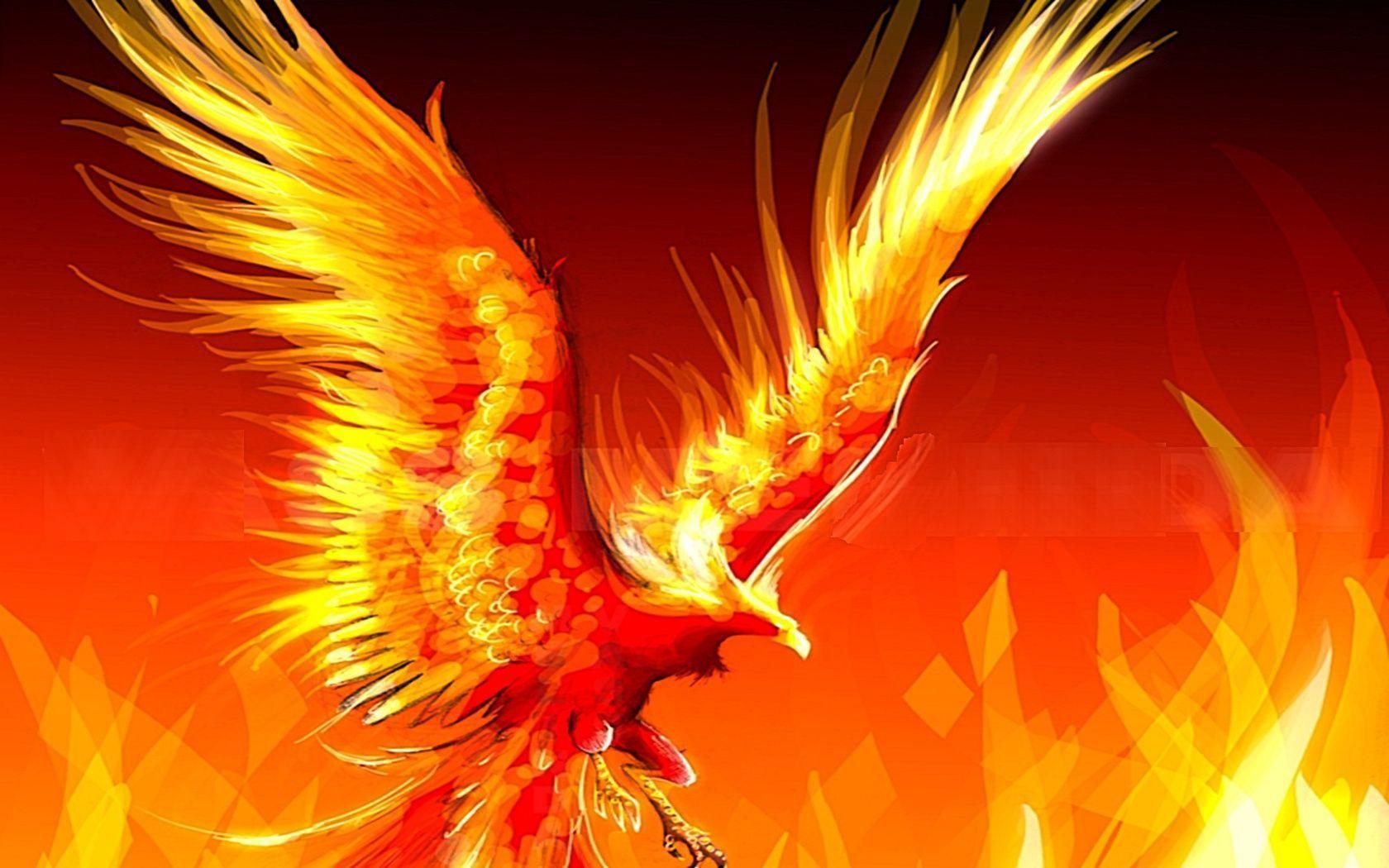 Phoenix Bird Wallpaper HD · Bird Wallpaper. Best Desktop