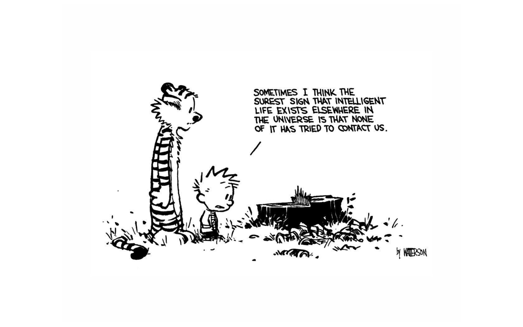 Calvin And Hobbes Computer Wallpaper, Desktop Background