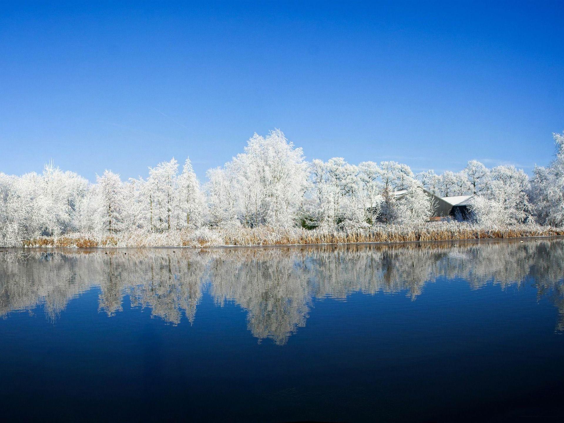 Panoramic Photography Winter Snow Theme Wallpaper