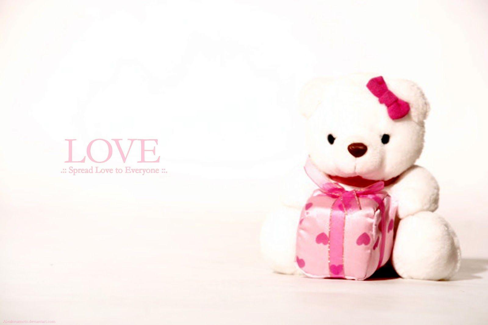 Cute Teddy Bear Gift for Valentines Day HD Wallpaper. High