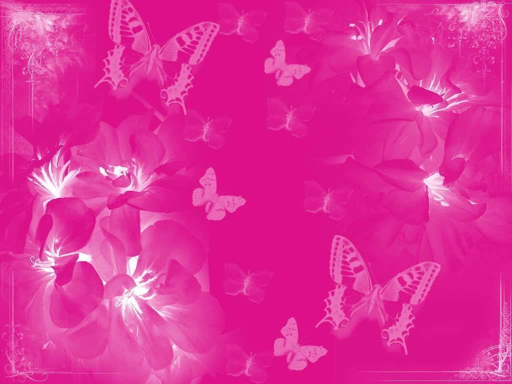 Pink Leopard Print Wallpaper HD Background 1 Cool