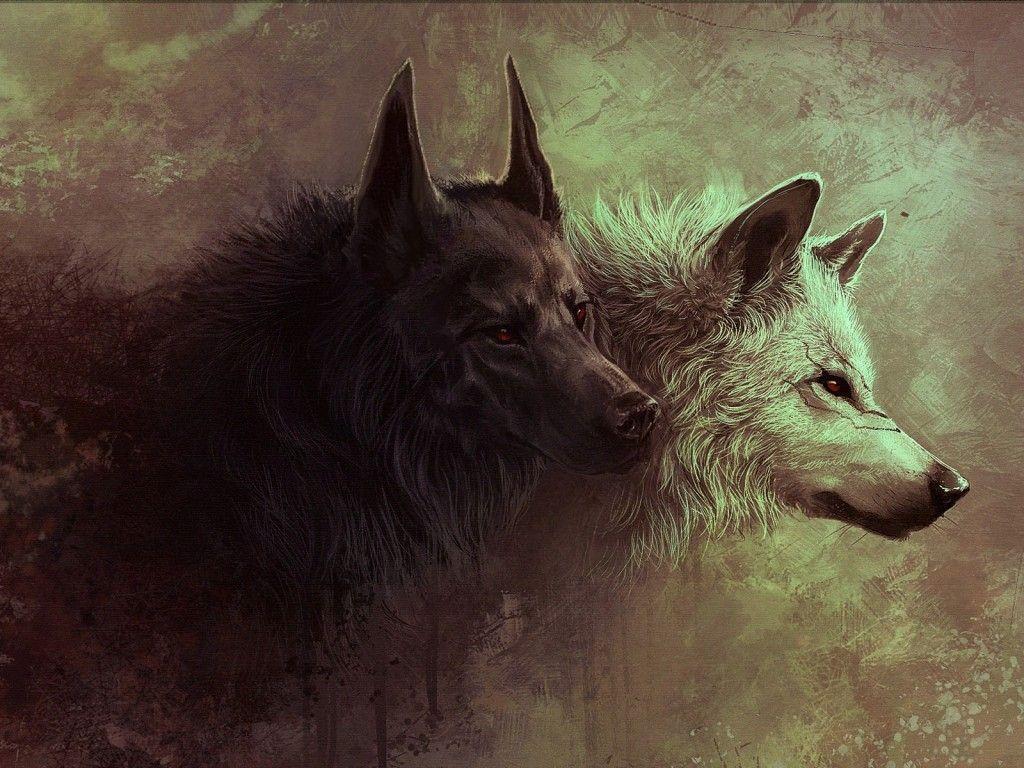 Wallpaper For > White And Black Wolf Wallpaper