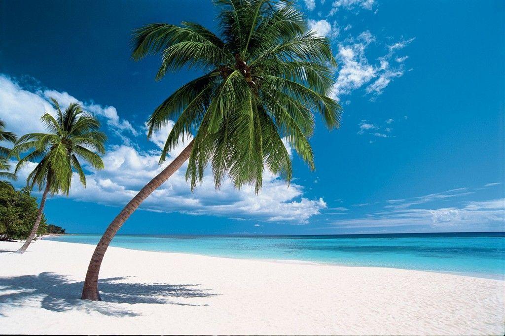 Caribbean Vacation Beaches Punta Cana Beaches Caribbean Travel