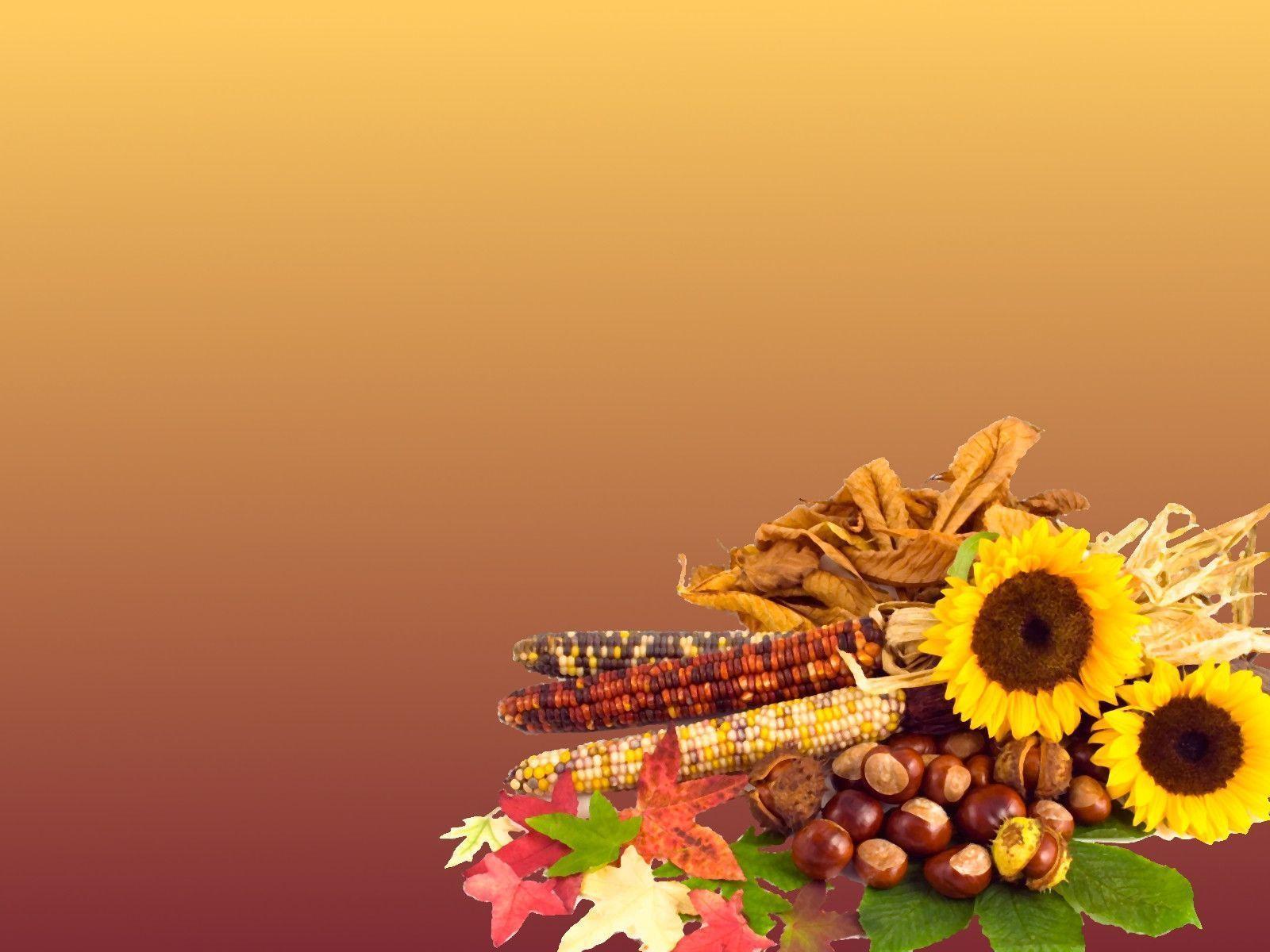 Free Thanksgiving Desktop Wallpaper Background