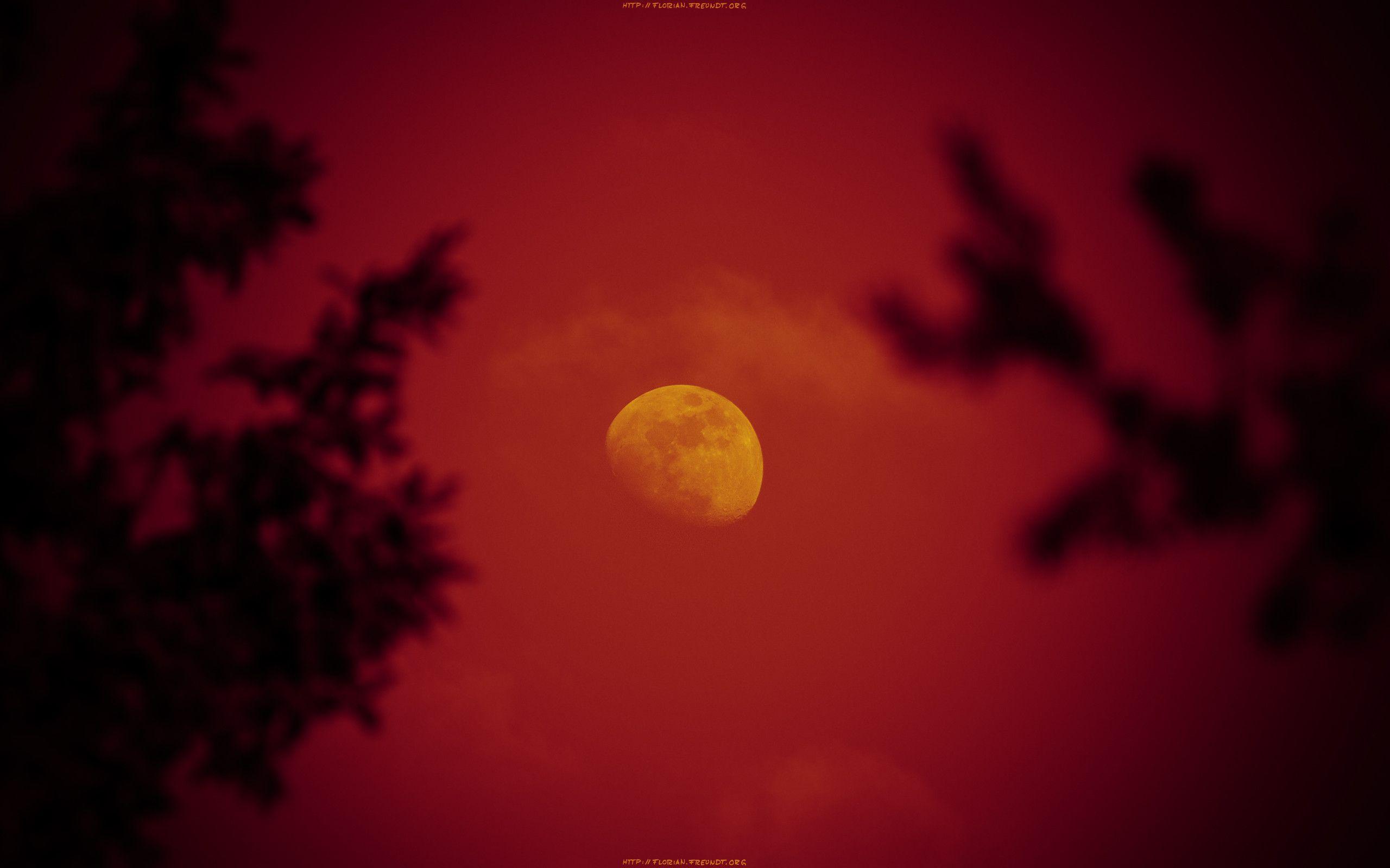 Wallpaper, Red Moon Rising 2560×1600