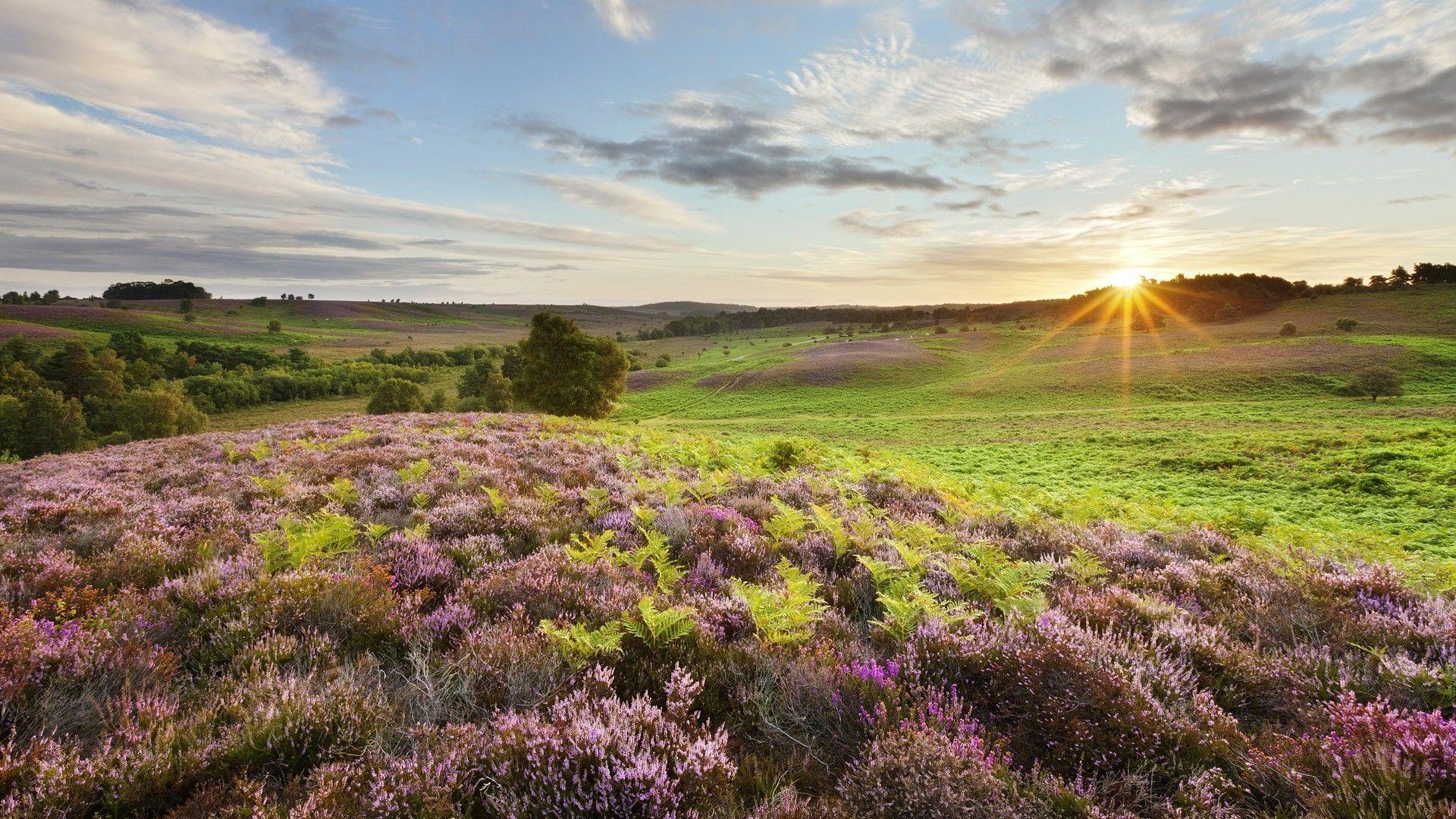 HD Beautiful Sunrise Over British Countryside Wallpaper. Download