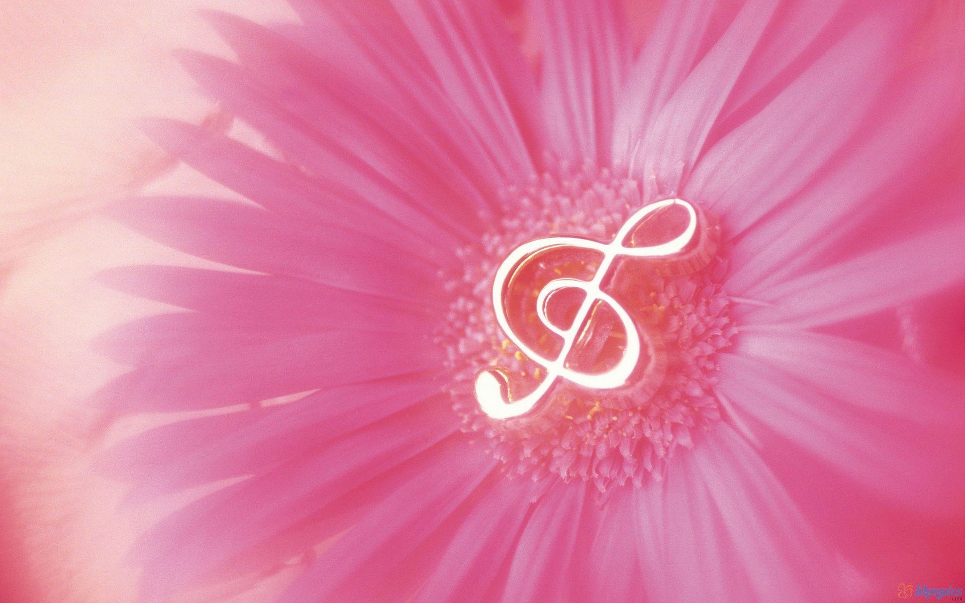 Pink Music Notes Background Image 6 HD Wallpaper