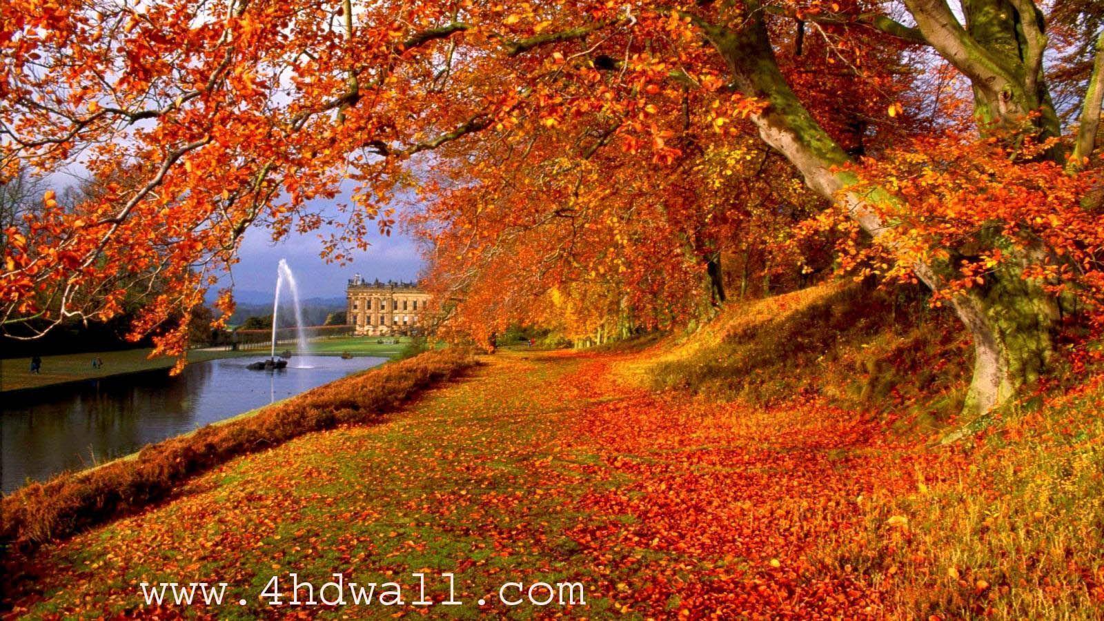 Pix For > HD Wallpaper Autumn