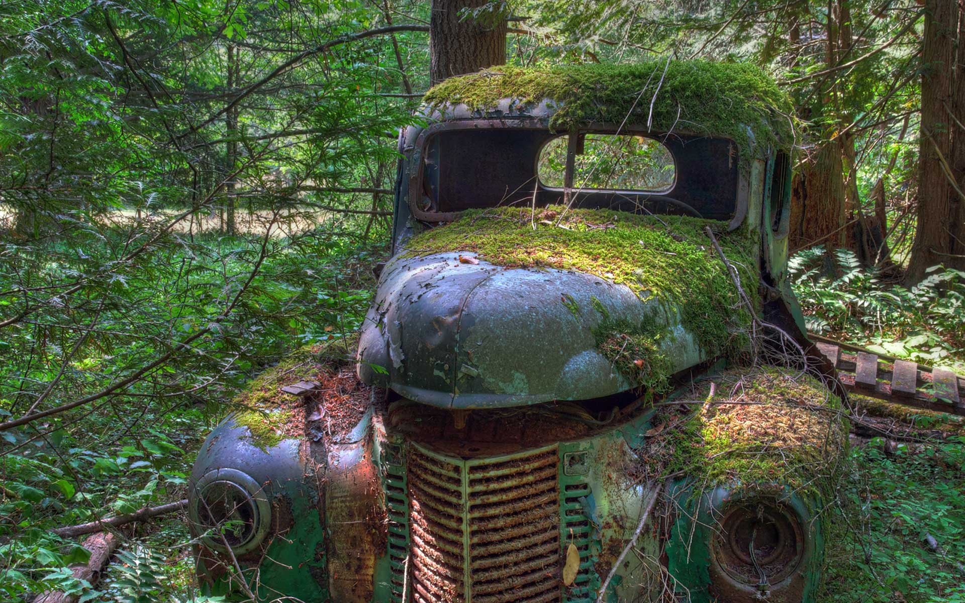Free Wallpaper rusty car covered with moss Wallpaper