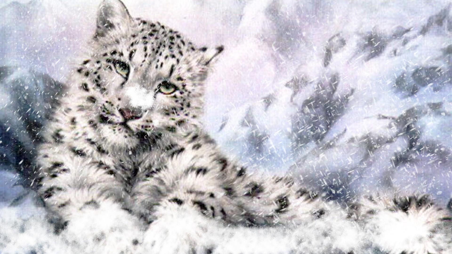 Leopard Snow HD Wallpaper Wallpaper Inn