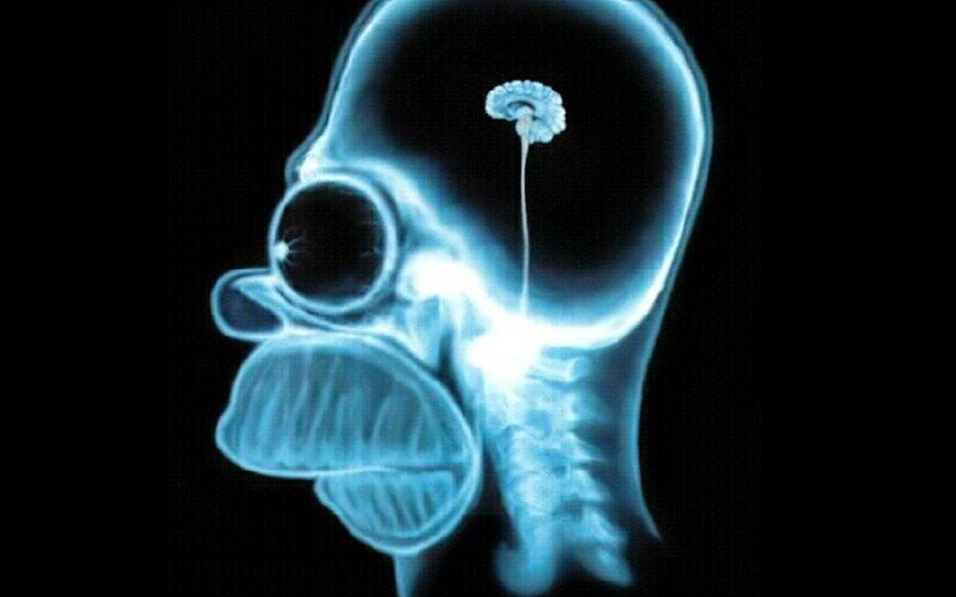 Homer Simpson brain x ray free desktop background wallpaper