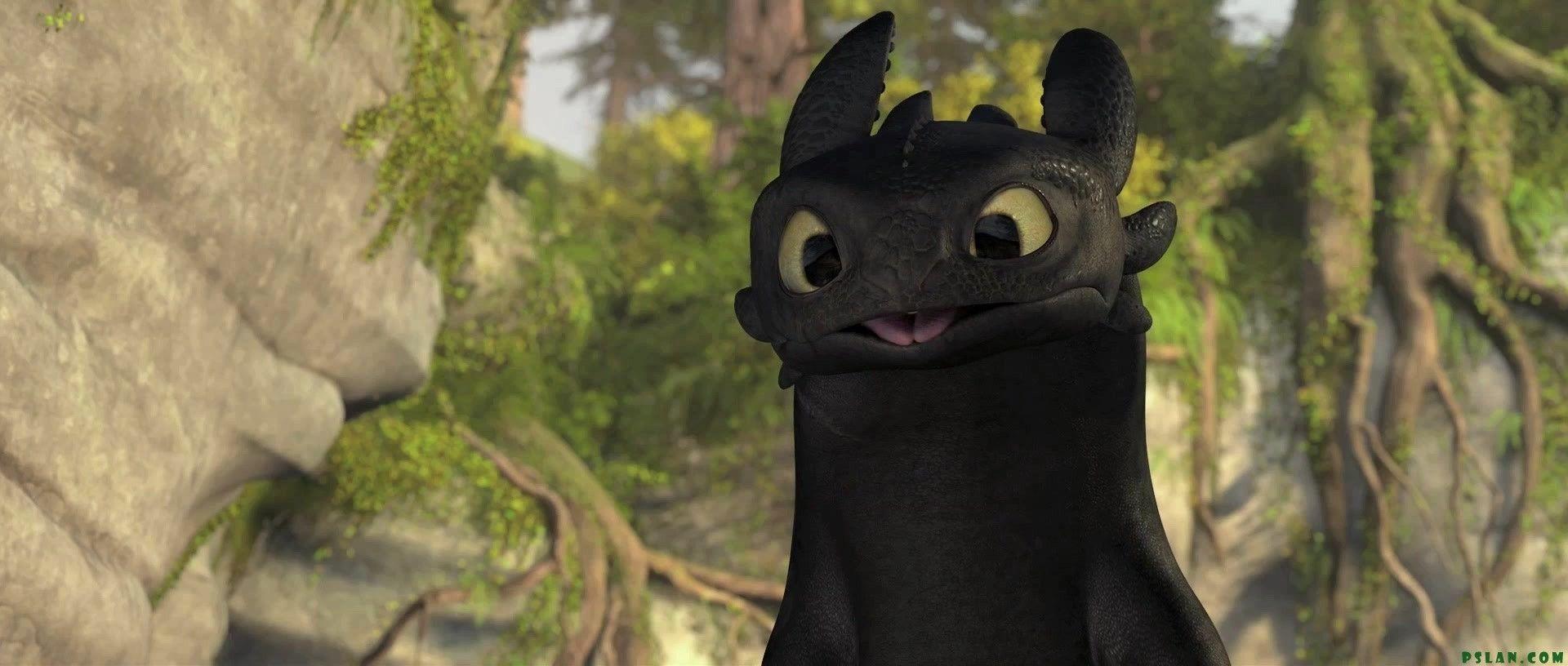 Toothless to Train Your Dragon Photo