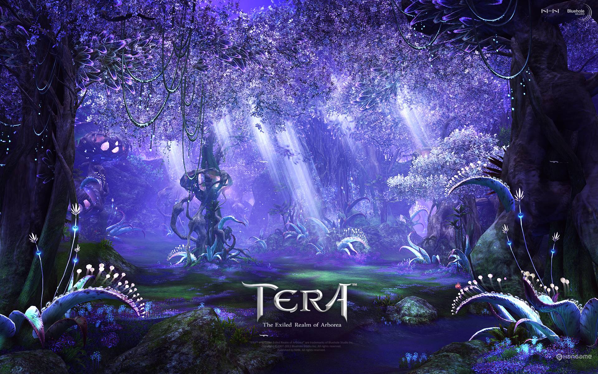 Tera Online Fantasy Anime V Wallpaper Background