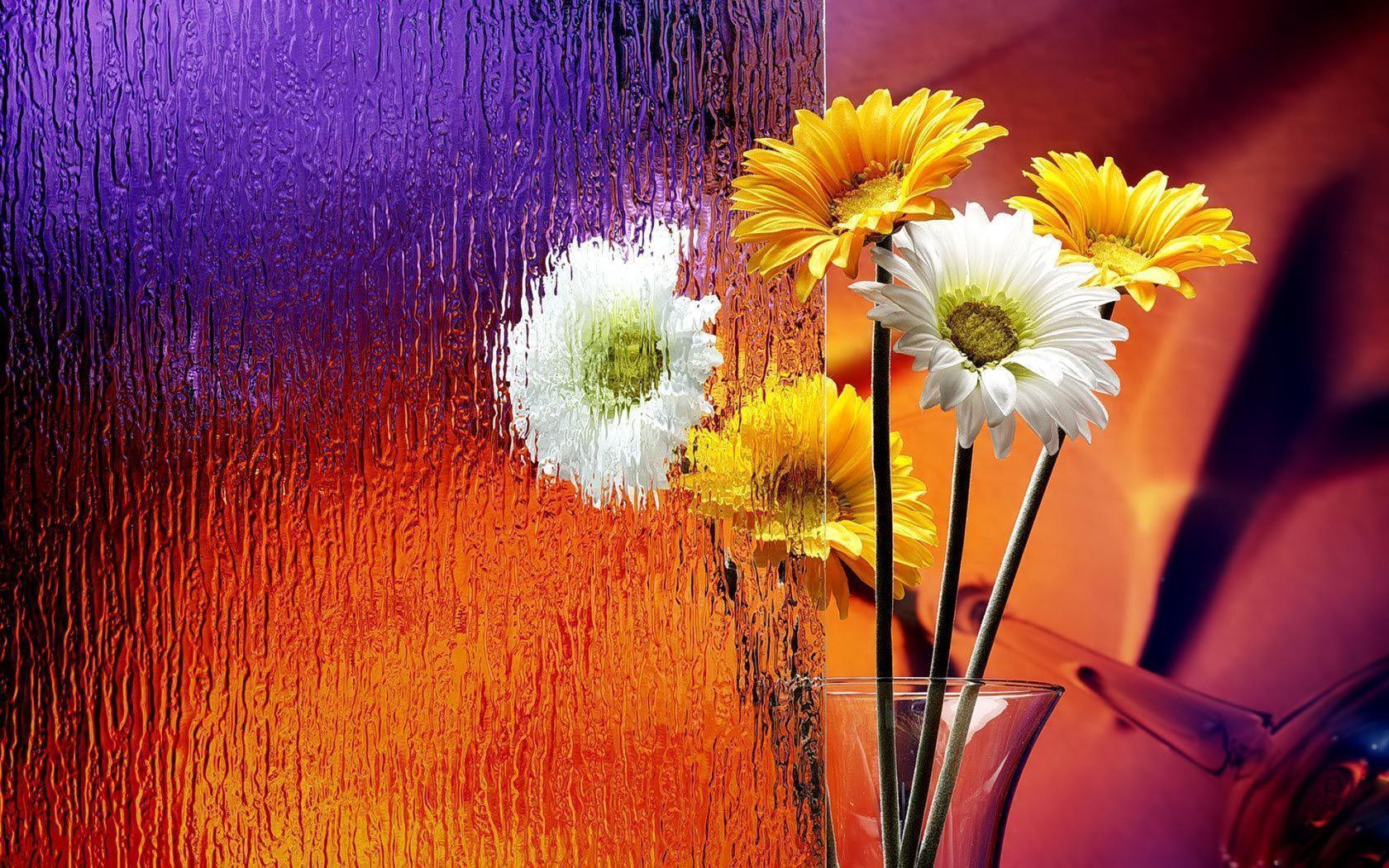 Desktop Wallpaper Gallery Nature Daisy Flowers Bouquet 1680x1050PX