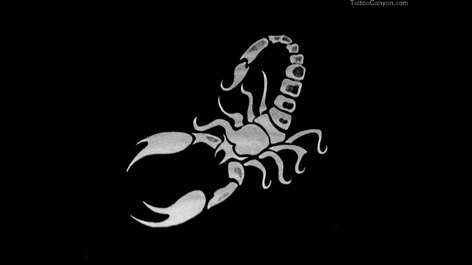 Scorpions Wallpaper HD Android Application