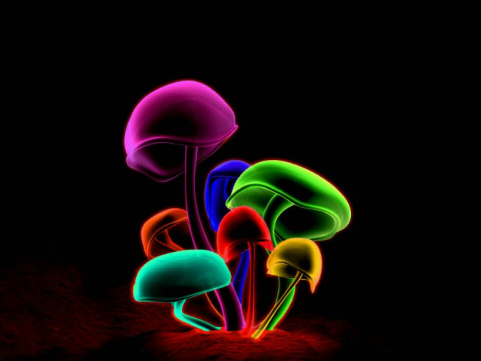 Neon Mushroom Wallpaper Image & Picture