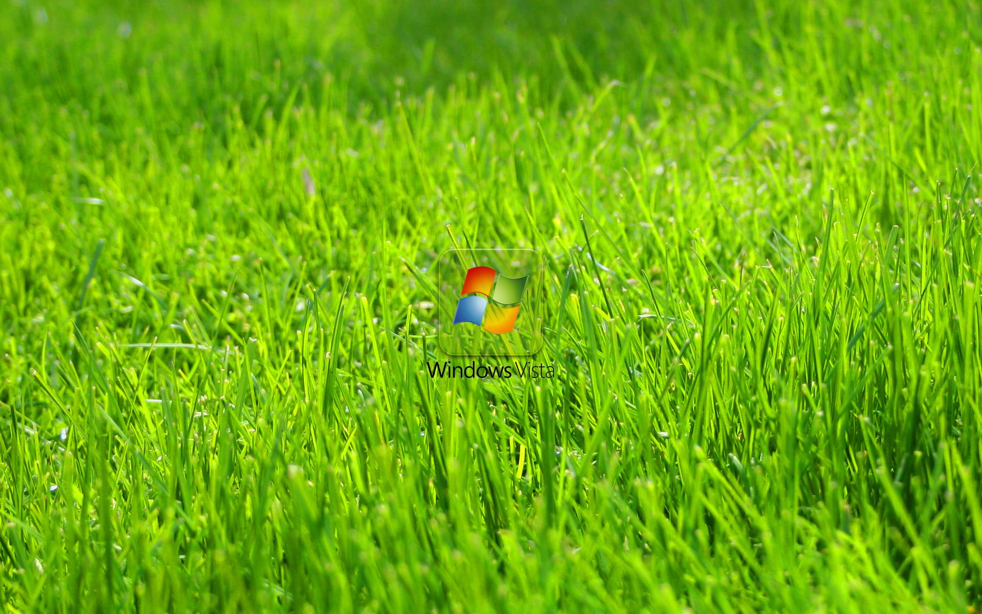 Green Grass Wallpapers - Wallpaper Cave