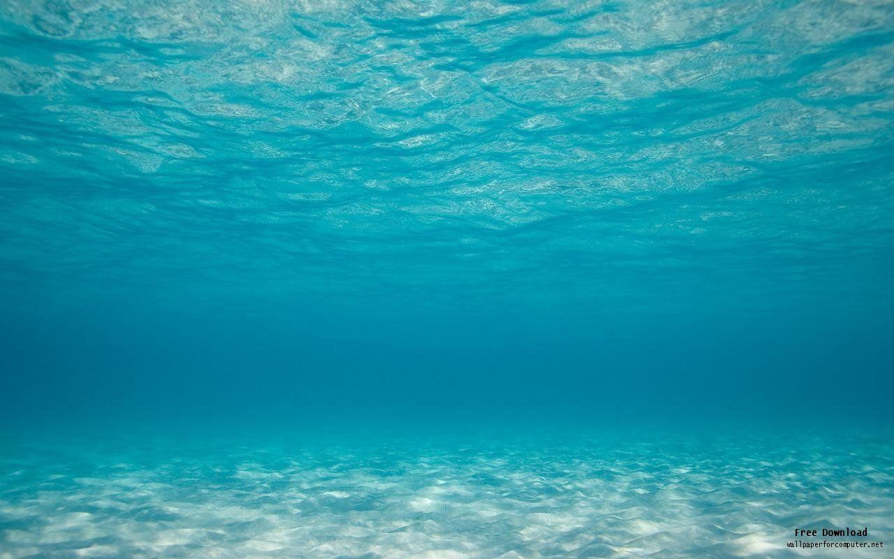 Wallpaper For > Underwater Wallpaper