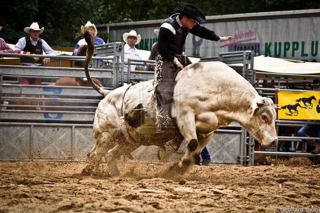 Bull Riding Wallpaper