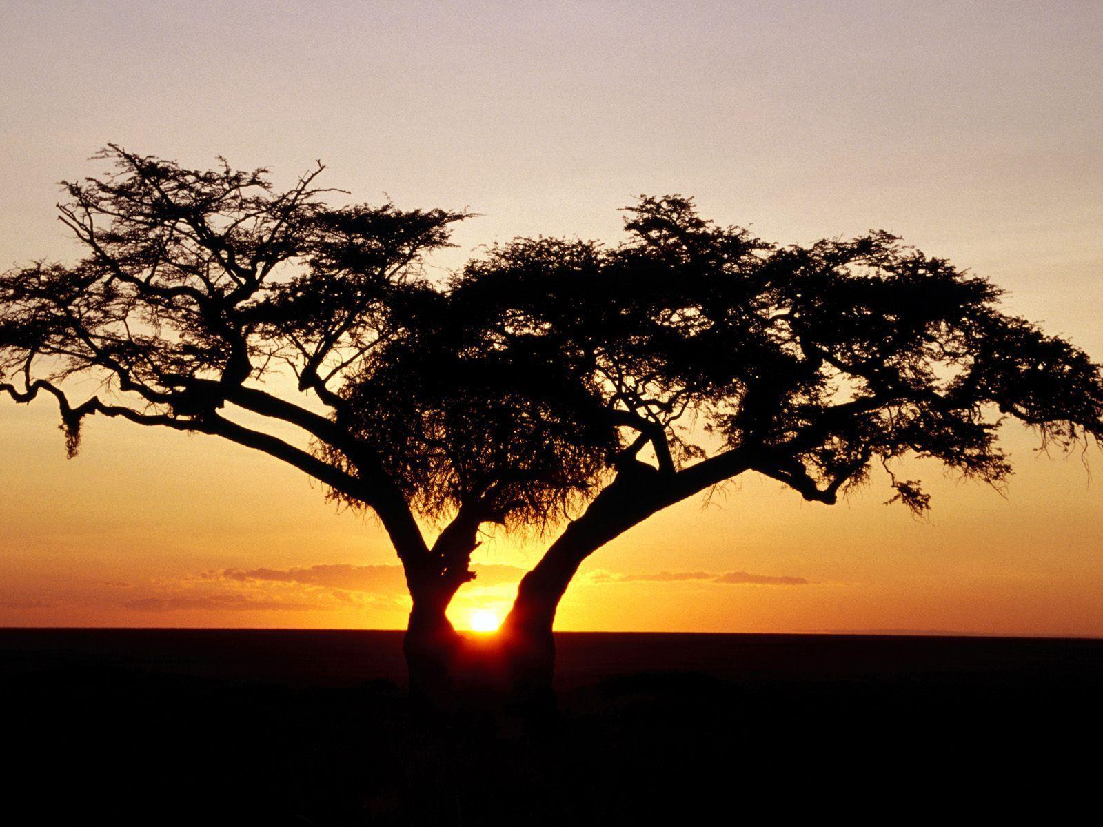 Sunrise, Africa desktop wallpaper