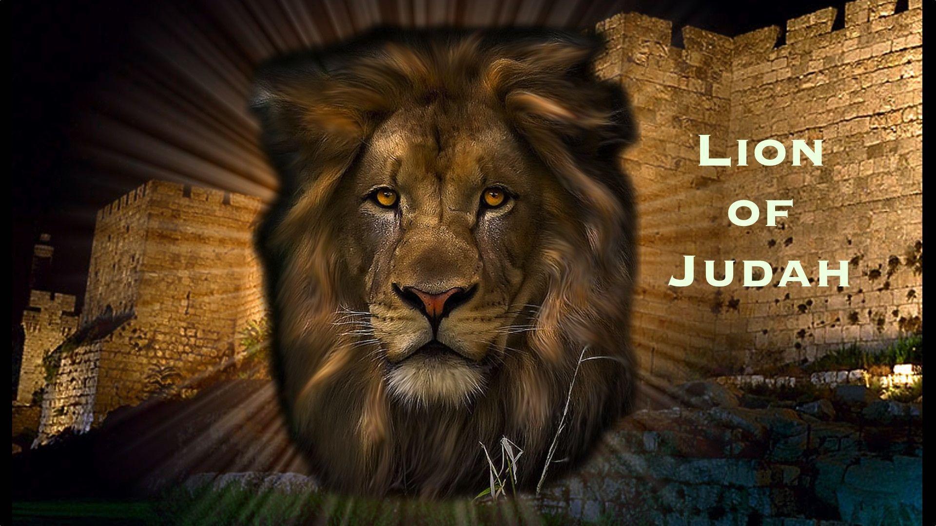 Lion Of Judah Jesus