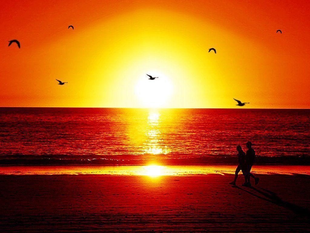 image Of Sunset At The Beach Wallpaper