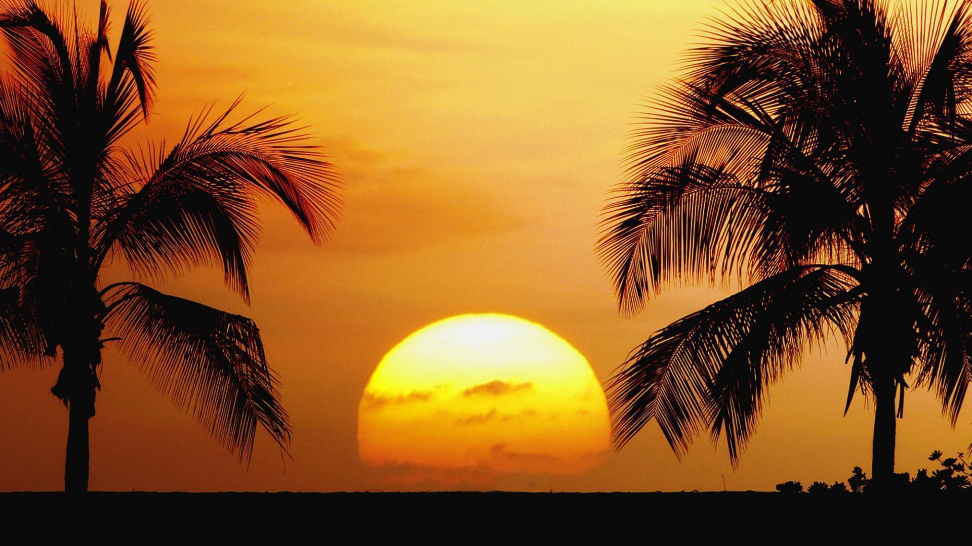 Tropical Beaches Palm Trees Sunrise Sunset Landscape Wallpaper