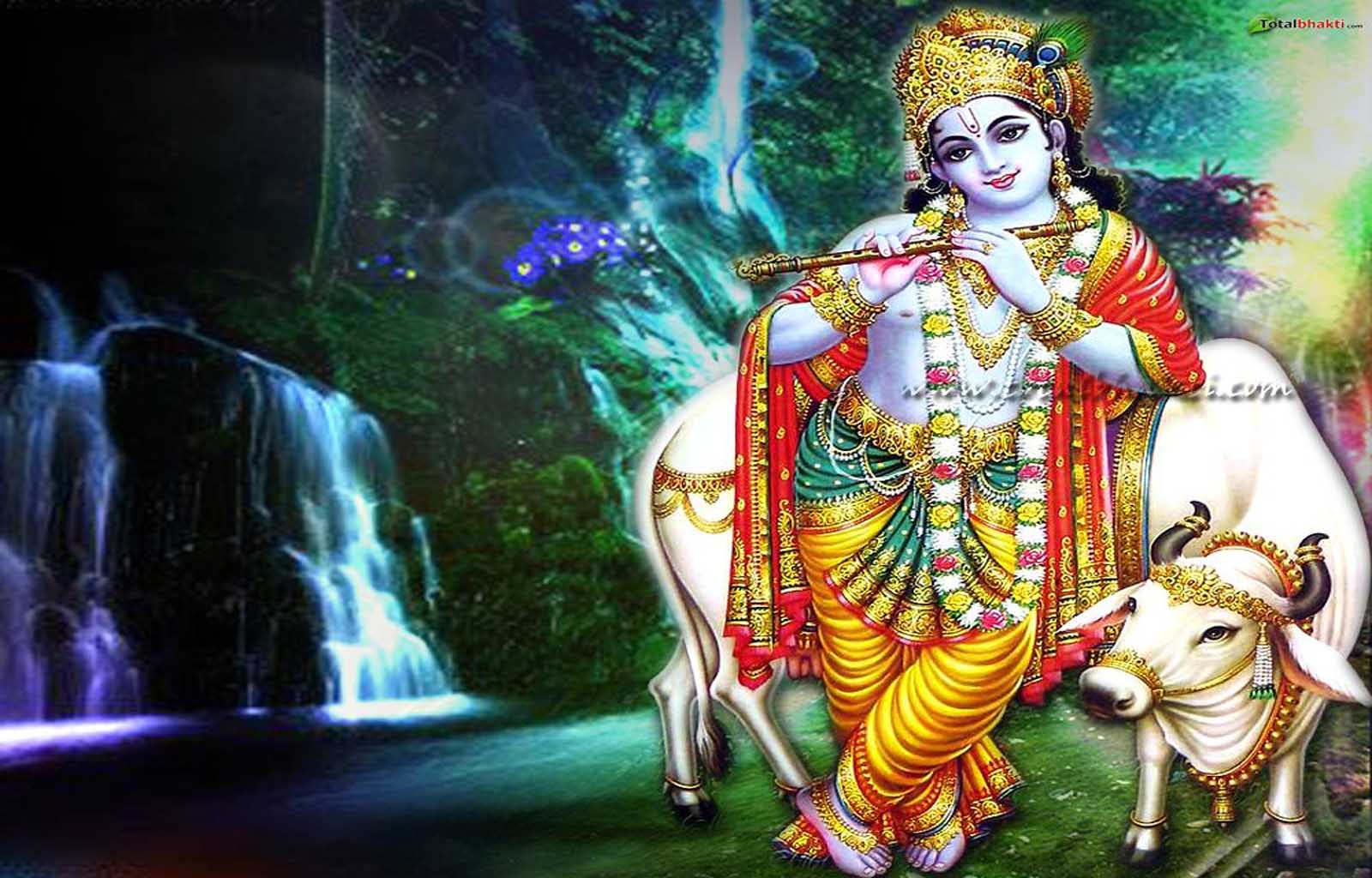 Download Lord Krishna Wallpapers Gallery