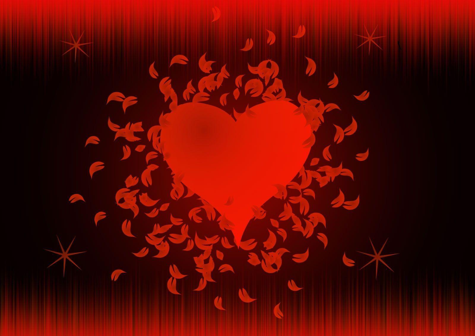 Valentines Day Desktop Background, English Cat Valentines Day