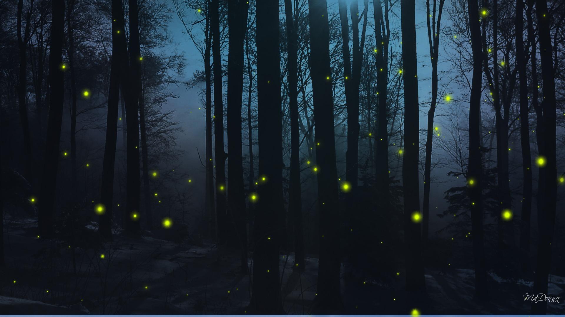 Fireflies Wallpapers - Wallpaper Cave