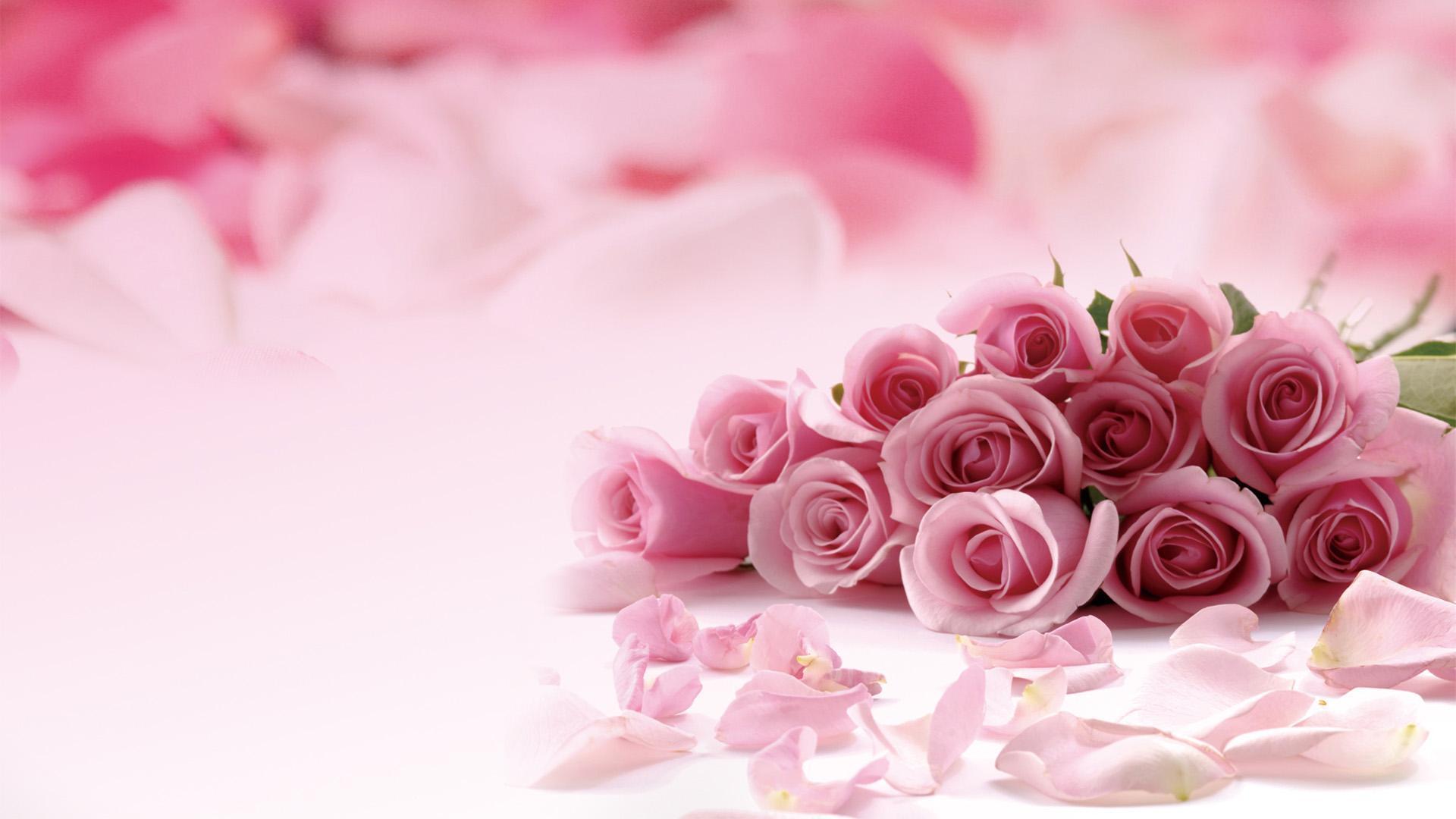 Pink Roses Picture HD Desktop Wallpaper 1920x1080 Pink Purple