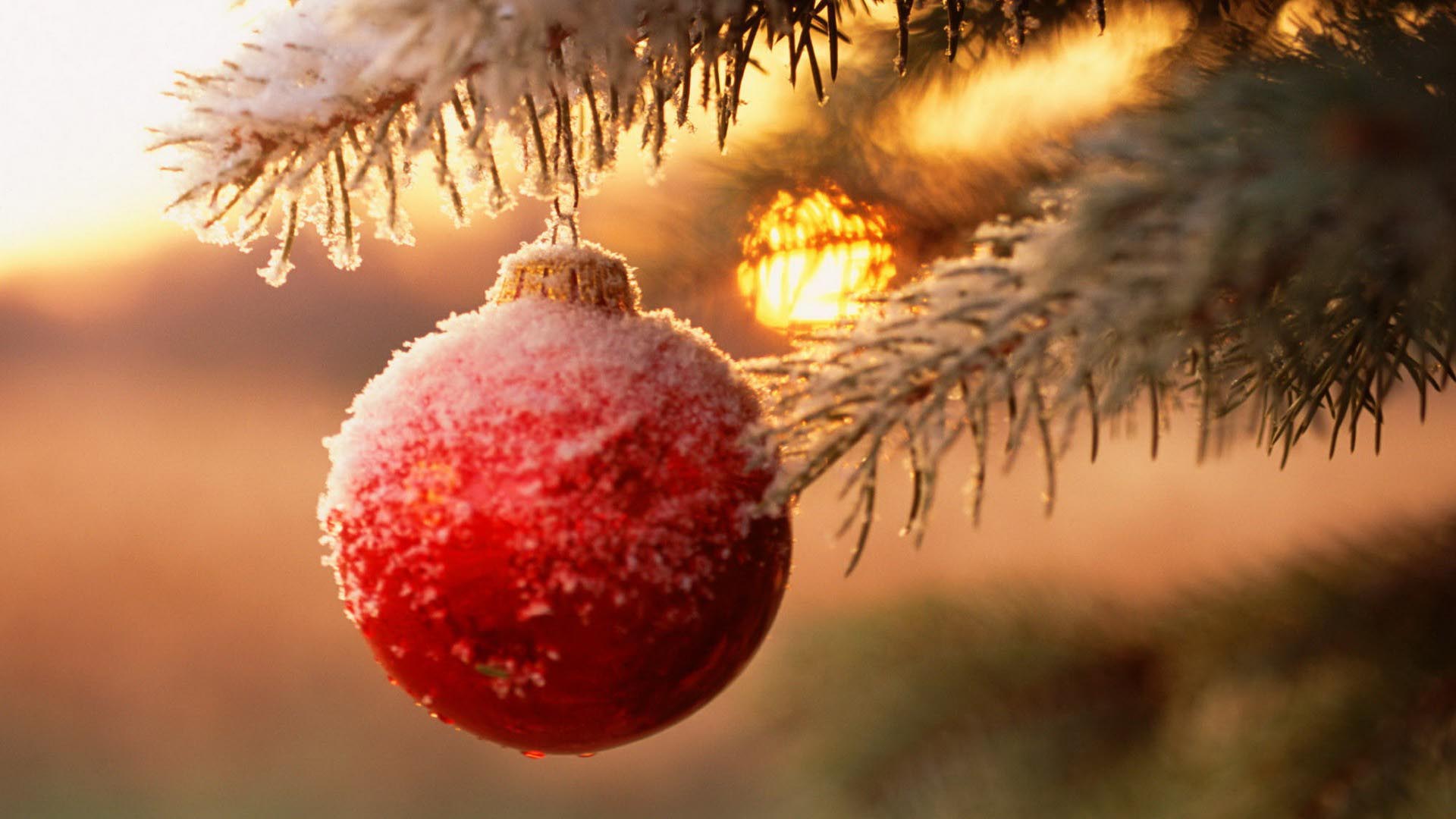 Snowy Christmas Ball in Tree HD Wallpaper FullHDWpp HD