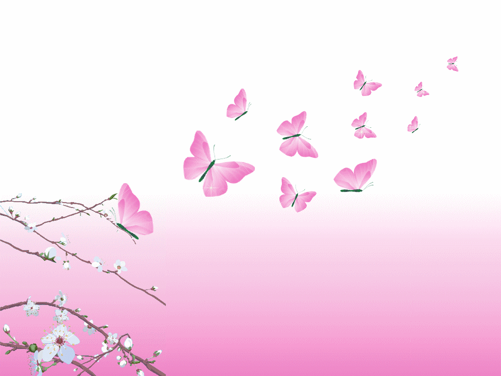 Wallpaper For > Pink And White Butterfly Background