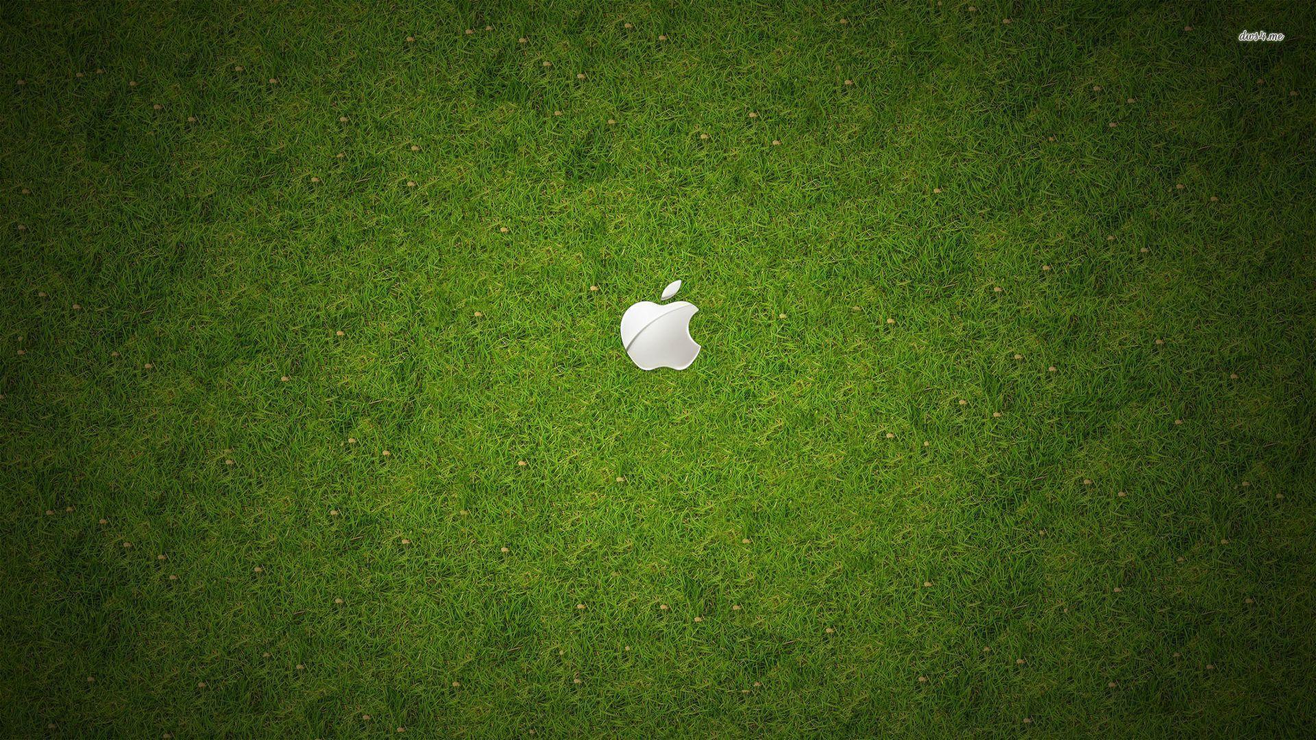Apple logo in the grass wallpaper wallpaper - #