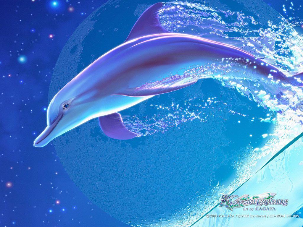 Cute Dolphin Wallpaper 9631 HD Wallpaper in Cute