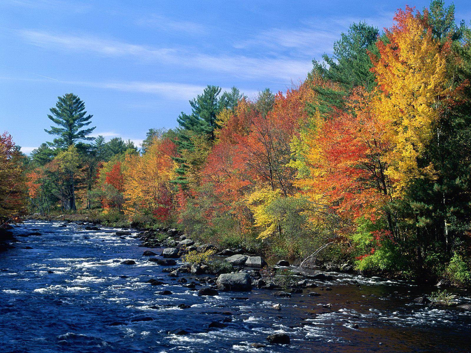 Colors of new england autumn free desktop background