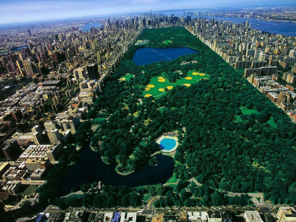Manhattan Central Park Nature wallpaper