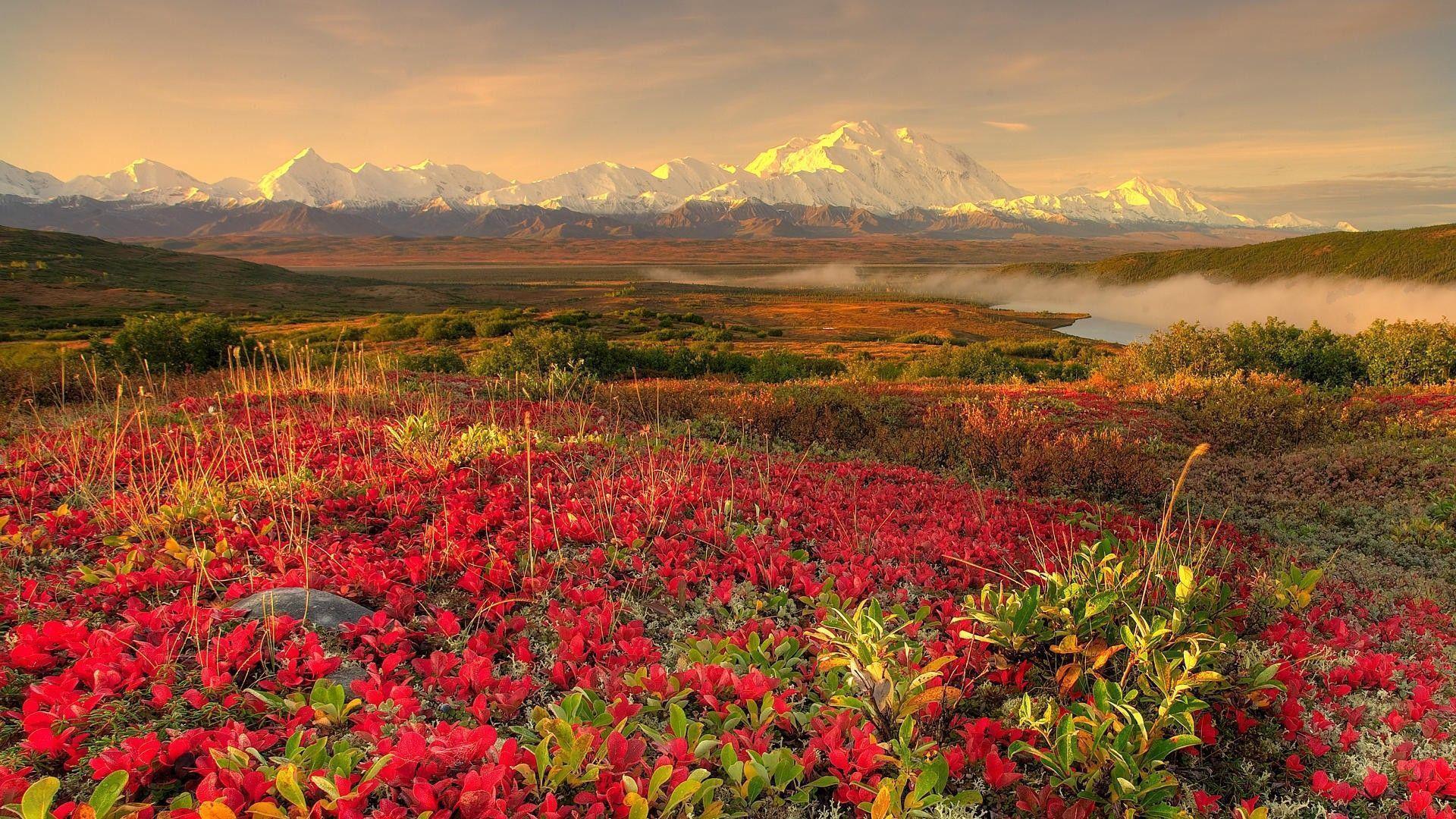 Autumn Season World Alaska National Park Fresh New HD Wallpaper