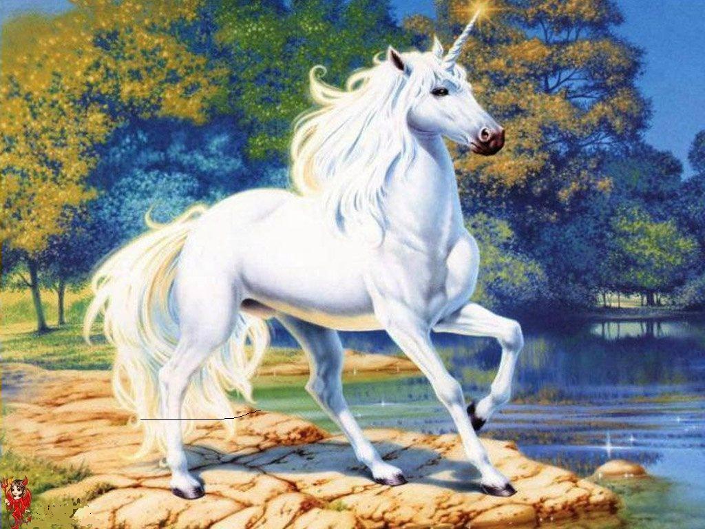 Free Cool Horse Wallpaper Download The 1024x768PX Wallpaper Free
