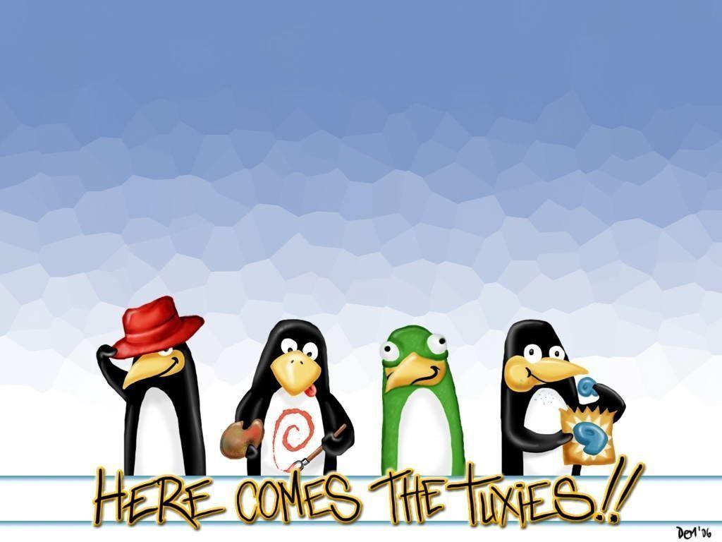 Download Debian Tux Penguin Imagini Pinguini In Linux Wallpaper