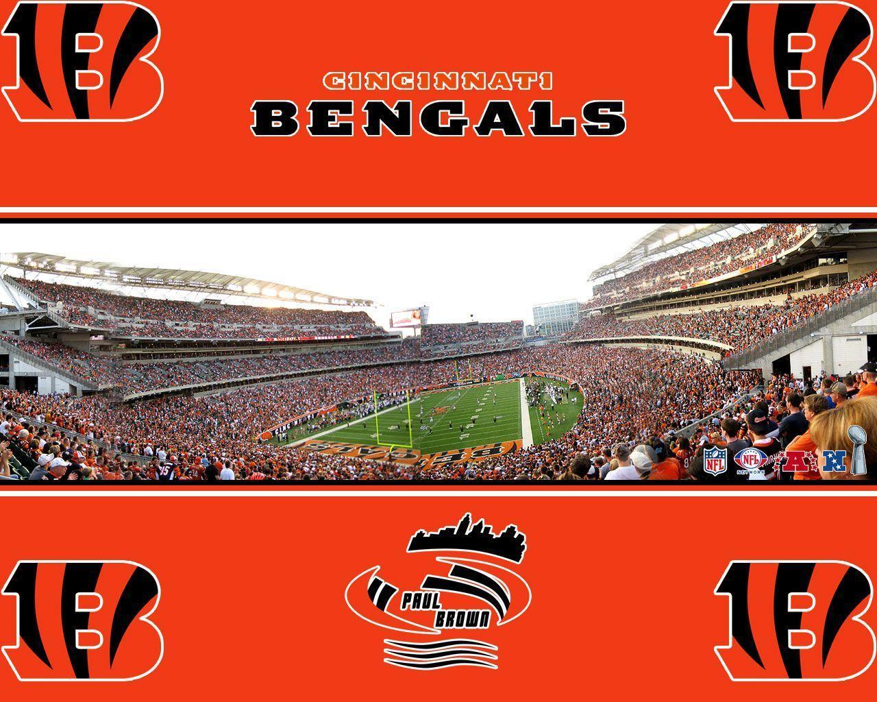 Cincinnati Bengals stadium wallpaper