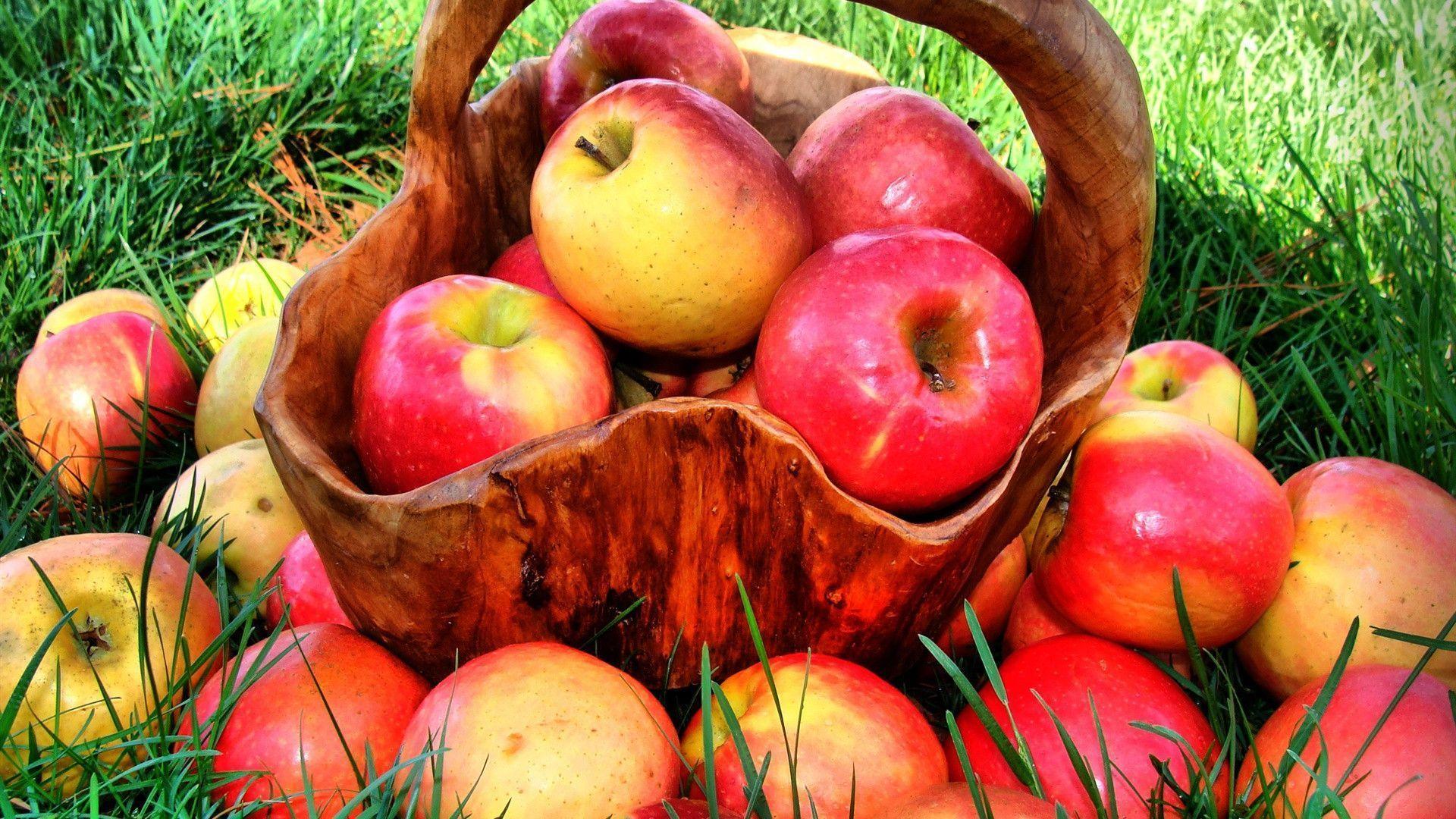 Summer grass, red apple harvest, delicious fruit Wallpaper