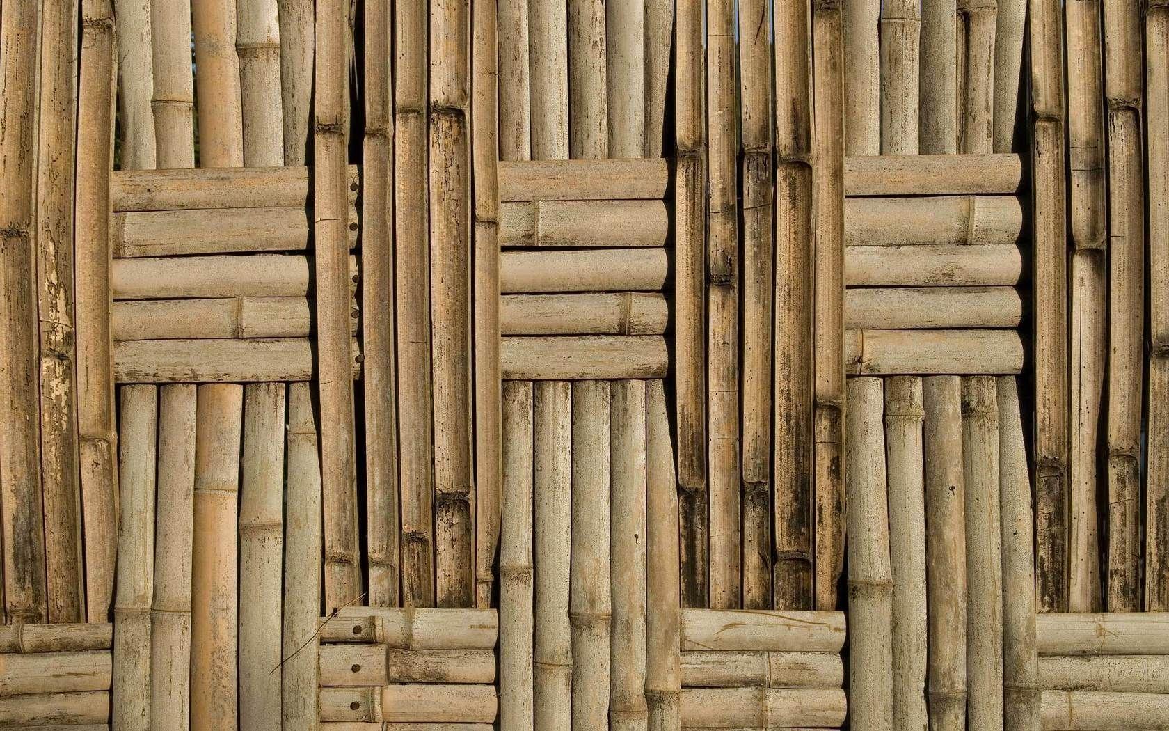 Bamboo Background Surface Board wallpaper #