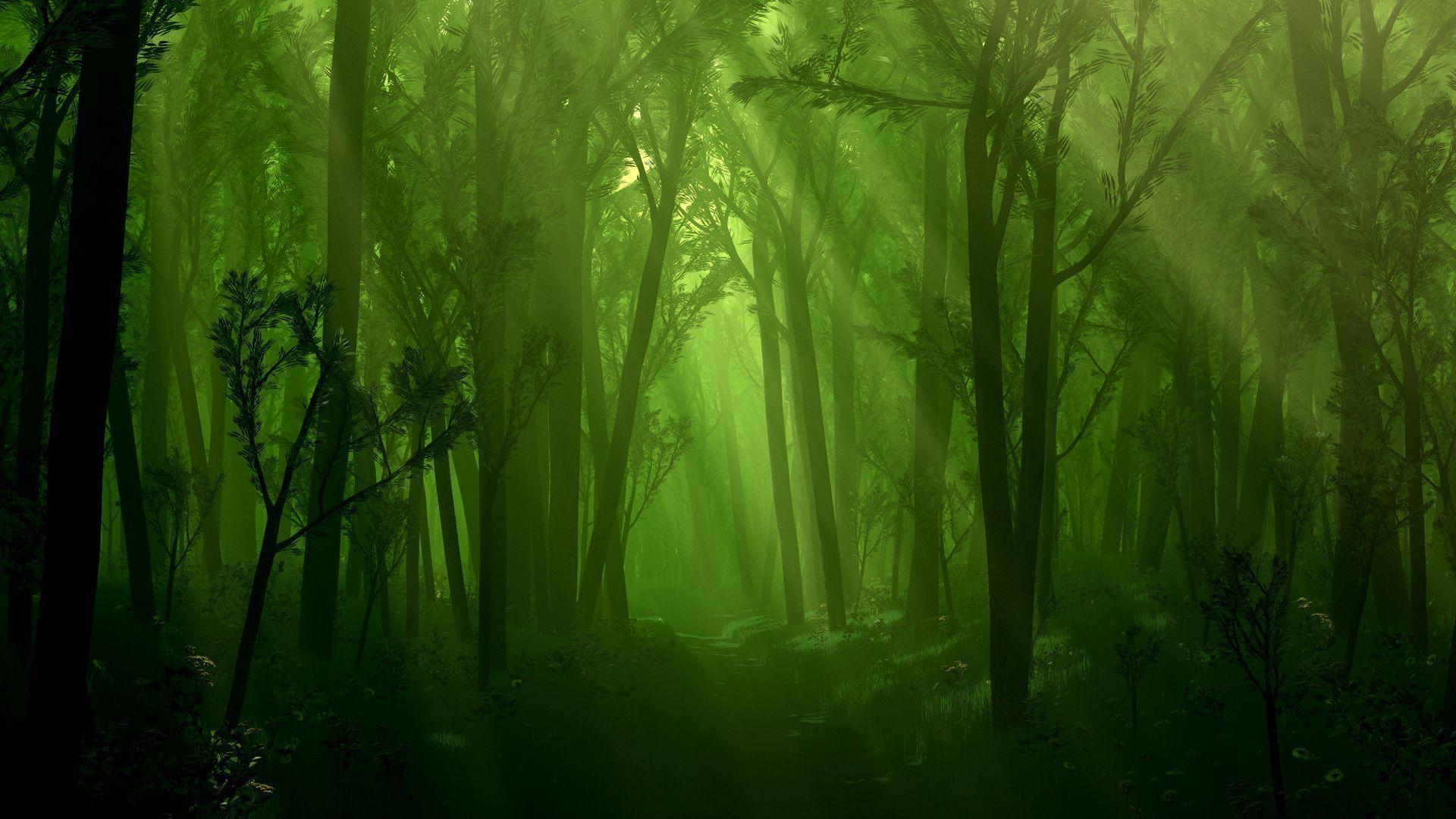 Hd Fantasy Forest Wallpaper 16527 HD Wallpaper in Nature