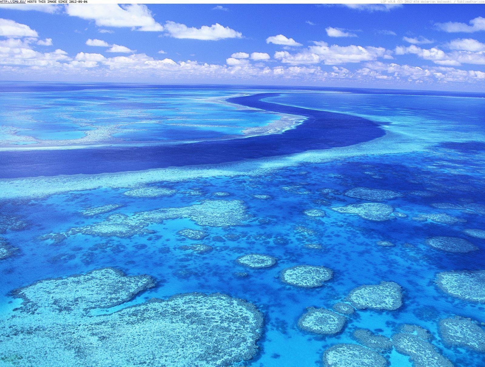 The Great Barrier Reef Wallpaper HD Wallpaper Picture. Tourist