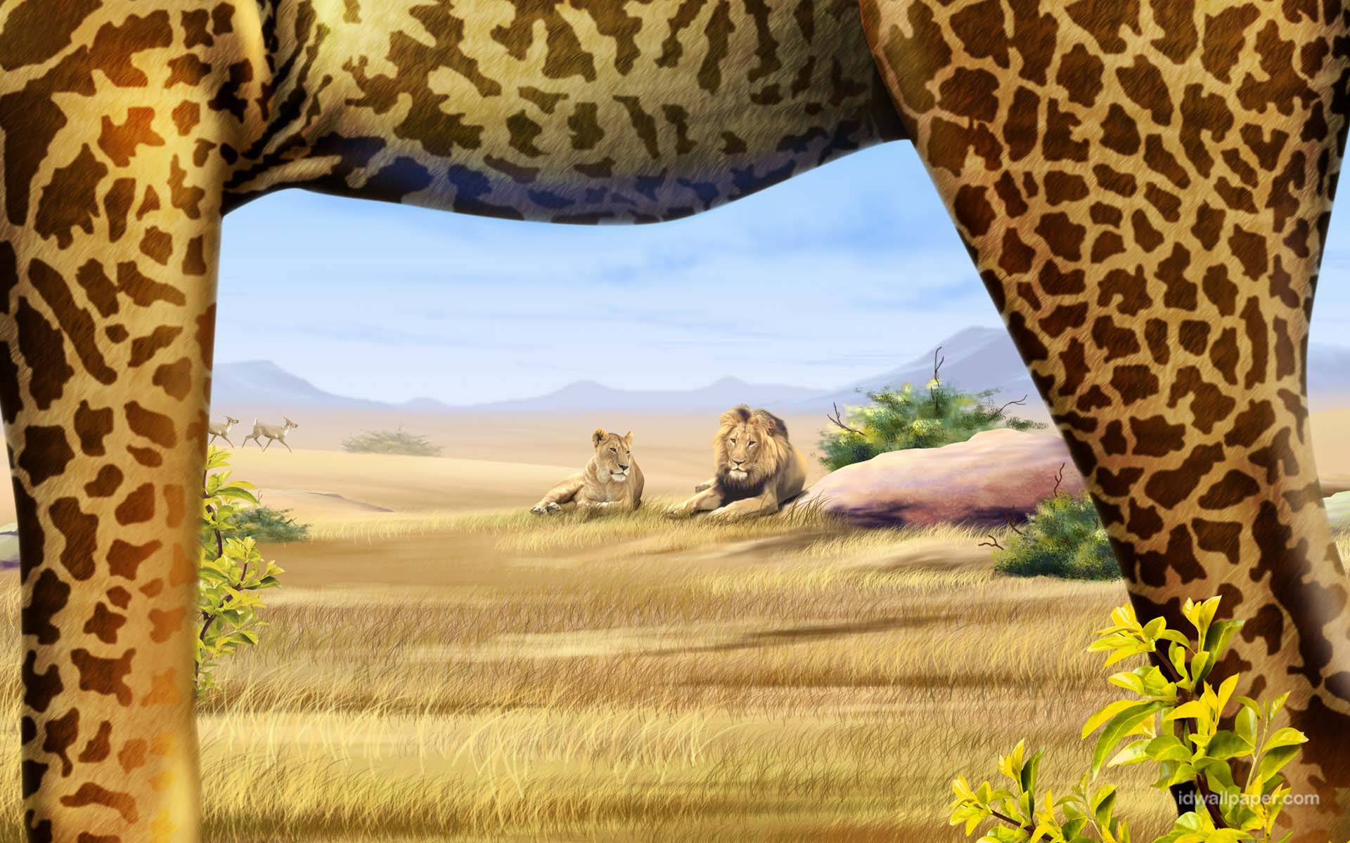 Safari Wallpaper