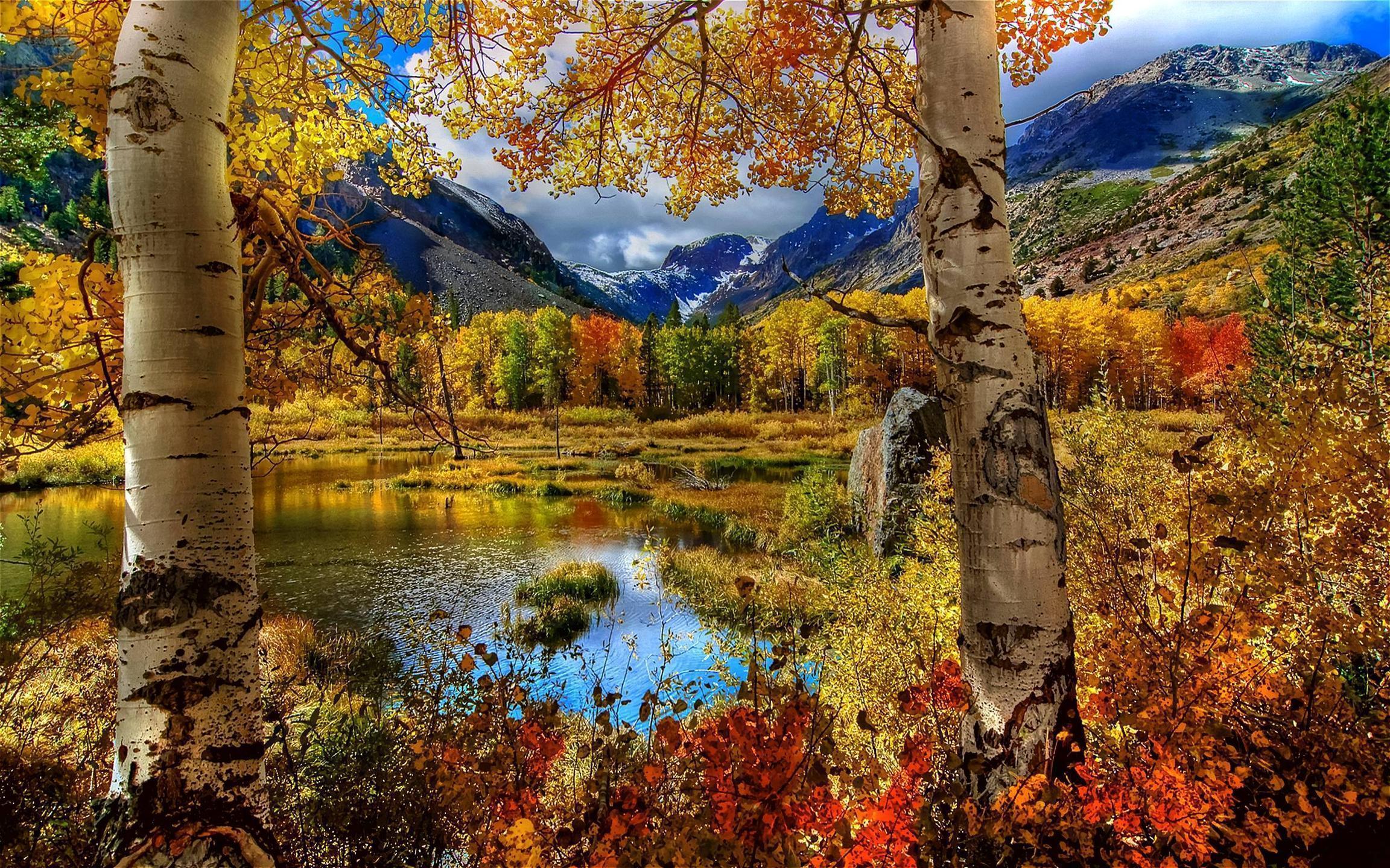 autumn Wallpaper Background